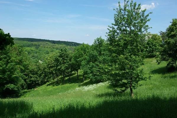 V Šárce (Dolní Šárka) | Pražská příroda