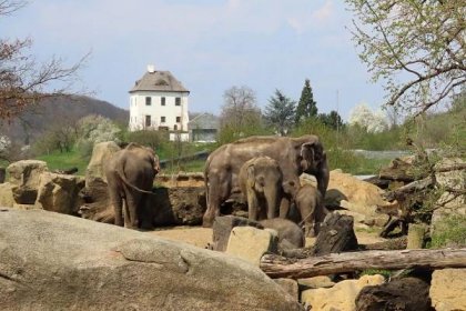 Zoo Praha otevřela brány