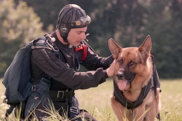 Komisař Rex - Nováček - Z filmu - Gedeon Burkhard, pes Reginald von Ravenhorst