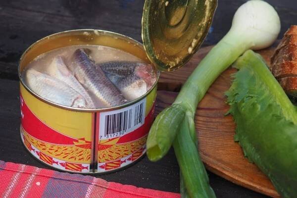 Surströmming: Skandinávské jídlo z konzervy, kvůli kterému si i jeho milovníci zacpávají nos