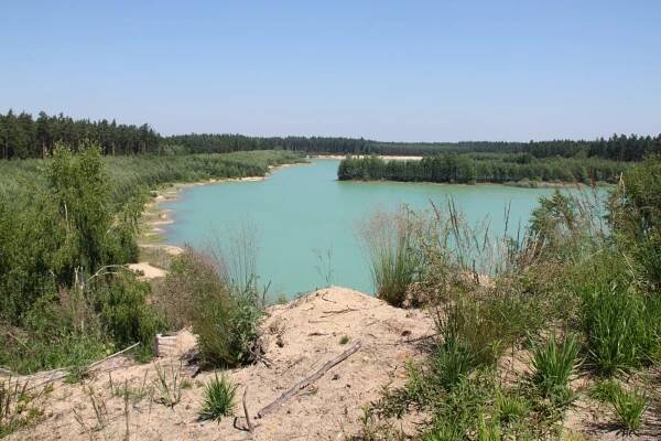 Kriticky ohrožený potápník dvojčárý nalezen na pískovně Cep II