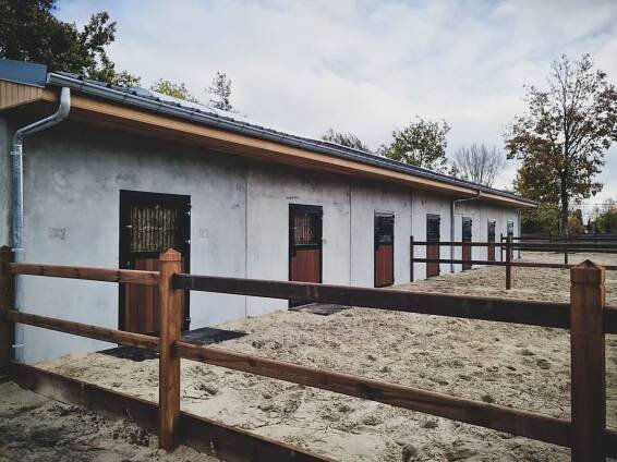 Lauren, auteur op Paho Horse Stables