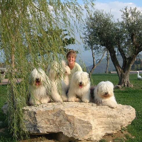 Kennel - OES - Nobilpazzi