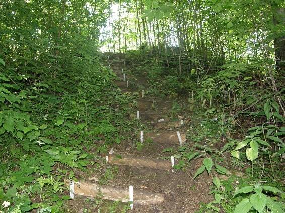 Doubravice nad Svitavou (hrad) – Wikipedie