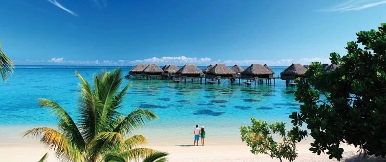 Hilton Moorea Resort - sami jsme navštívili - DOVOLENÁ SNŮ