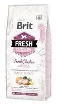 Krmivo pro psa Brit Fresh Chicken & Potato Puppy Healthy Growth 12 kg 2 pytle (2x12 kg)