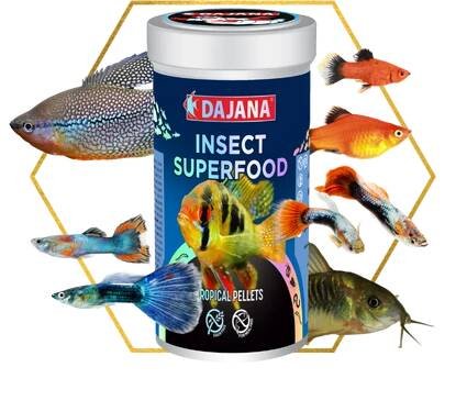 INSECT SUPERFOOD | DAJANA PET, s.r.o.