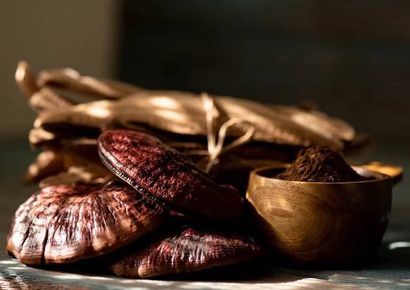 Jak nebýt celoživotním insomniakem? - Milan Schirlo