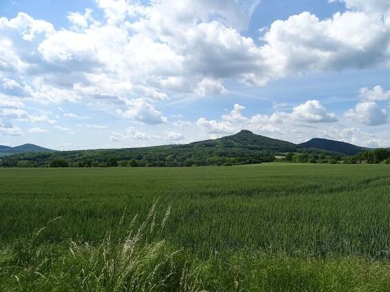 Photos - Vrch Ostrý- pohled od severuzápadu- od cesty z Velemína na Milešovku. - 03.06.2020