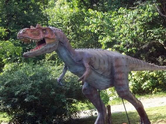 Gorgosaurus • Dinosaurs - Pictures and Facts