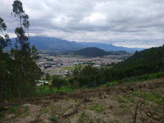 Ecuador, city, Puyo, Ands, Playas, Cotopaxi, Chimborazo