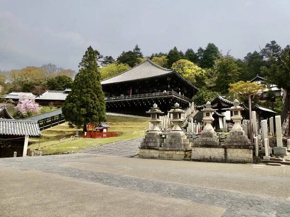 Nara – Around the World I Go ….