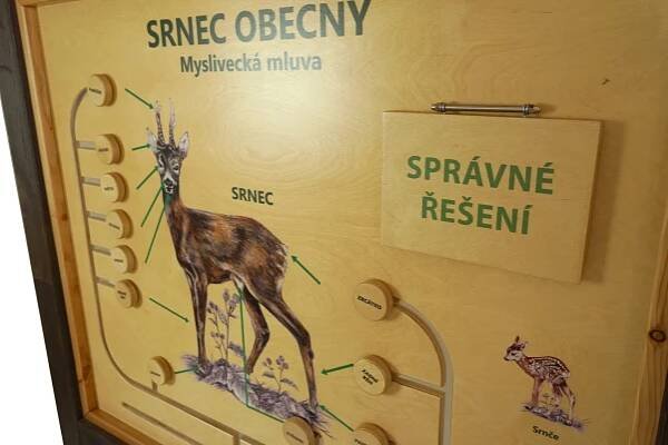Myslivecká Mluva - Srnec | Lesnisvet.cz