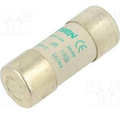 SCHNEIDER ELECTRIC DF2FA100 Pojistka: tavná; aM; 100A; 500VAC; keramická; 22x58mm