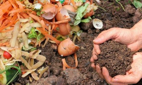 Velký přehled hnojiva: Co všechno můžete na jaře použít