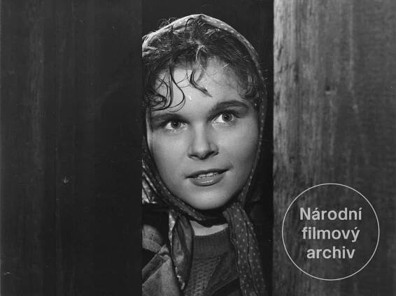 Povodeň - Národní filmový archiv