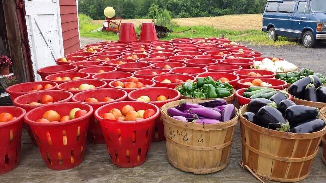 Farmer Al's Market & Greenhouses NJ Farm Fresh Produce Plant Sale School Fundraiser Fundraising Sales Mother's Day Wholesale