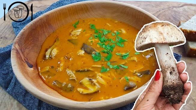 Muchomůrka růžovka polévka - Masák - recept. Falešná držková z růžovek. Amanita rubescens.