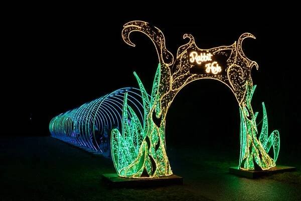Lumina Park Praha | Alenka v říši divů – Journey to experience