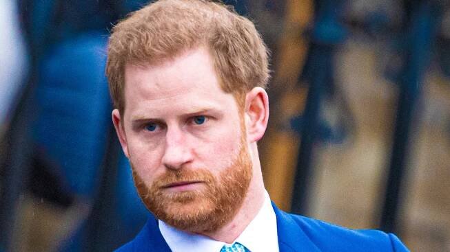 Who plays Prince Harry in The Crown?