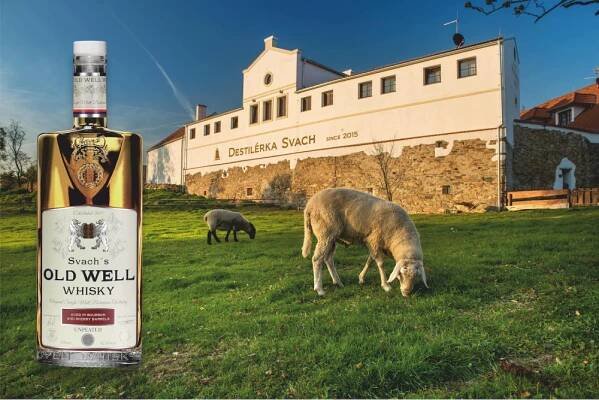 Svachovka bere další triumf. Whisky Old Well ocenil světový odborník