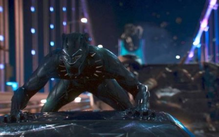 ‘You sign up to be expendable’: Chadwick Boseman’s Black Panther double on life as a Marvel stuntman