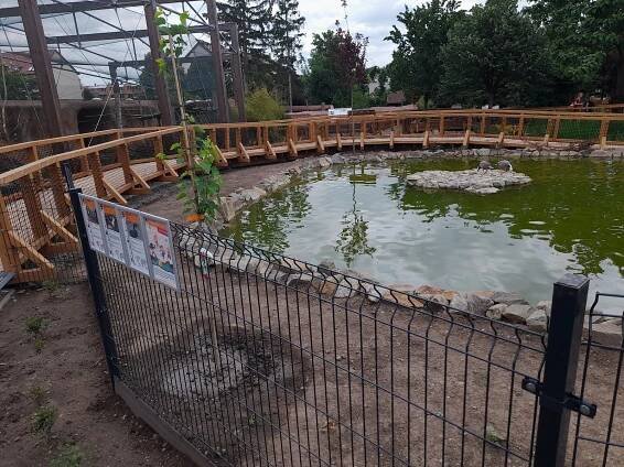 VIDEO: Procházka mezi jezírky. Zoopark Vyškov láká novou expozicí vodní drůbeže
