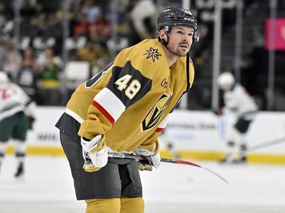 Tomáš Hertl: Životopis a zranění z NHL