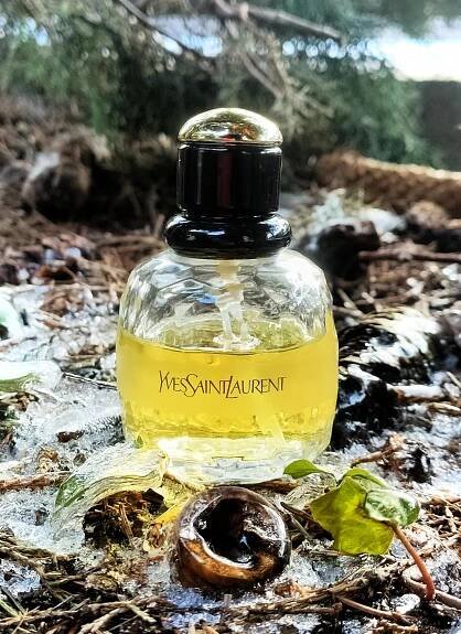 Paris Yves Saint Laurent pro ženy