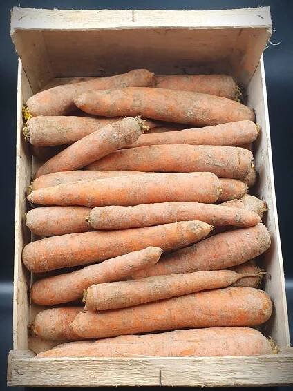 Anglia Produce Ltd