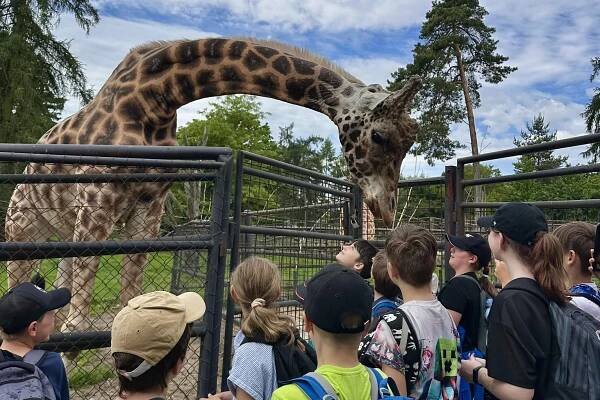 Výlet k MDD - ZOO Olomouc | ZŠ a MŠ Předklášteří