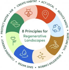 8 Principles — ReScape