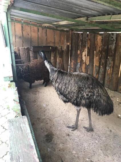 Zoo park Stropkov, Stropkov | Domalenka