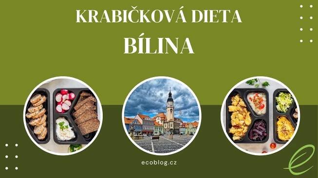 Krabičková dieta BÍLINA – TOP 4 (recenze)