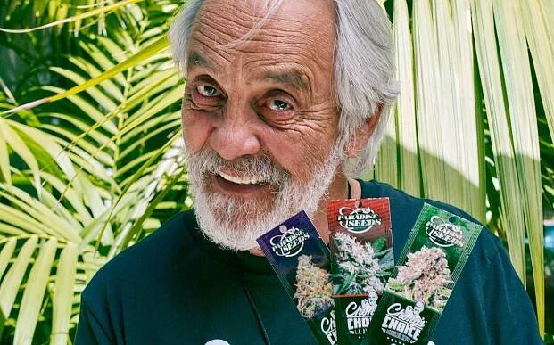 Nestárnoucí legenda Tommy Chong.