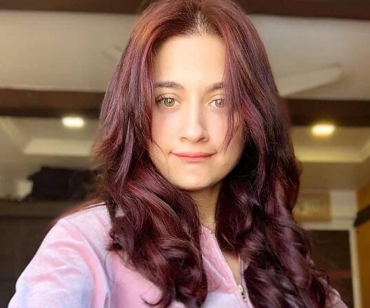 Sanjeeda Sheikh Biography - Facts, Childhood, Family Life of Indian Actress, Dancer & Model