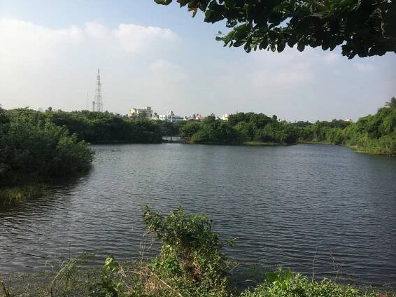 Dying Waters: India Struggles to Clean Up Its Polluted Urban Rivers - Yale E360