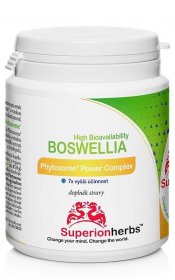 Boswellia Phytosome® Power Complex