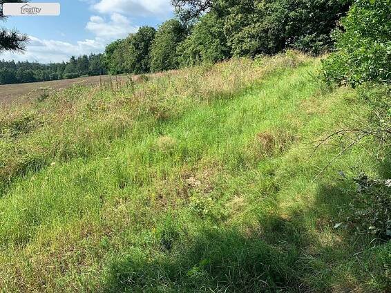 Prodej Pozemek, Přerovecká, Opava - Suché Lazce