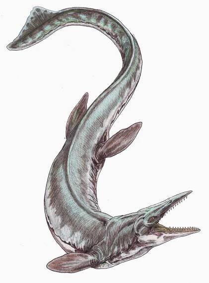 Tylosaurus