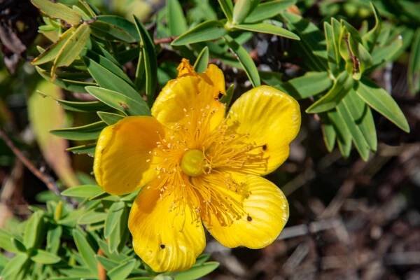 Reunion Island – Mario Mairal