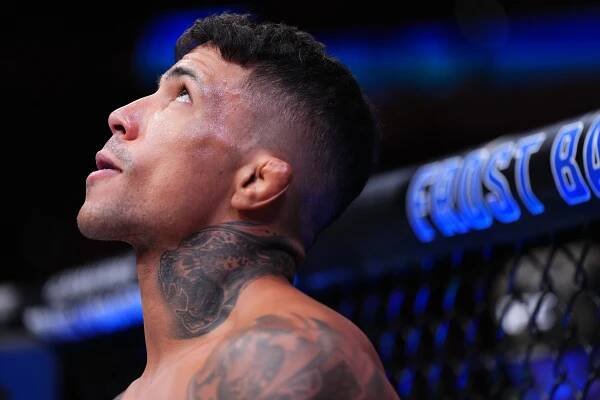 Noche UFC: Puelles v Silva