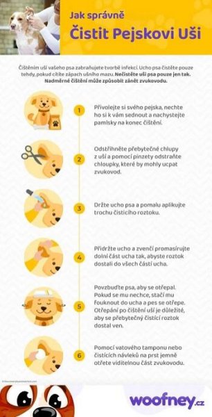 Jak čistit uši psa - infografika