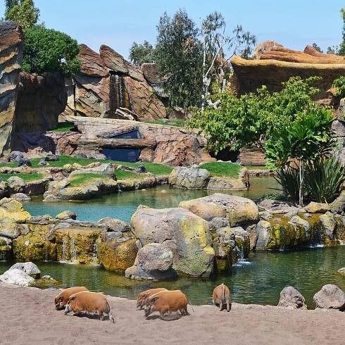 Animal Parks – Amusement Logic