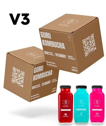 12 DÁVEK GURU KOMBUCHA MIX BOX V3