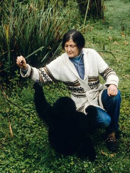 A visit to the world of Dian Fossey | 21.3.2023 | GG Magazine
