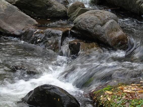 Základová fotografie na téma bujný, cestování, cestovní ruch, dekor, divočina, ekologický, fotografie, jemný, kameny, kaskádové