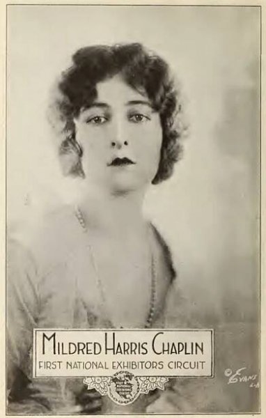 Mildred Harris - Wikipedia