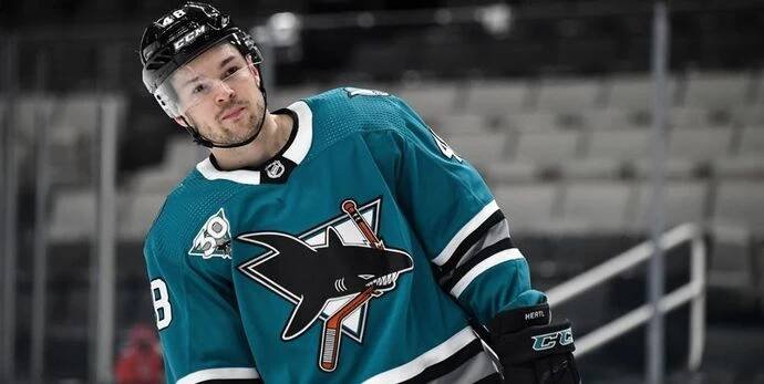 Hertl se těší na návrat do O2 areny. A co bylo nejhorší? Vstupenky...
