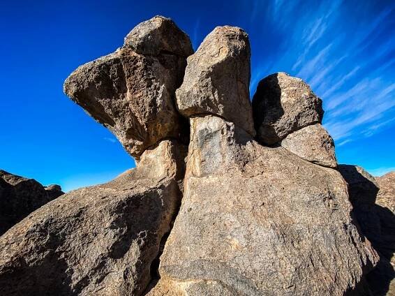 USA/New Mexico – Gila National Monument & City of Rocks - WildlifeMoments.de
